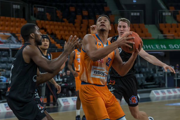 仅意味着体 仅意味着体